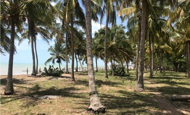 VENTA LOTE CON PLAYA EN MINGUEO- DIBULLA - PUNTA DE LOS REMEDIOS