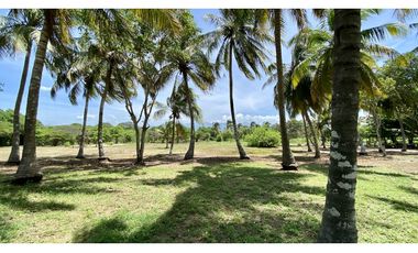 VENTA LOTE CON PLAYA EN MINGUEO- DIBULLA - PUNTA DE LOS REMEDIOS