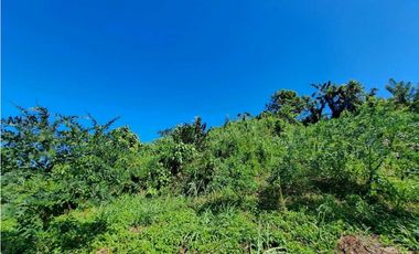 VENDO FINCA EN LA GUAJIRA