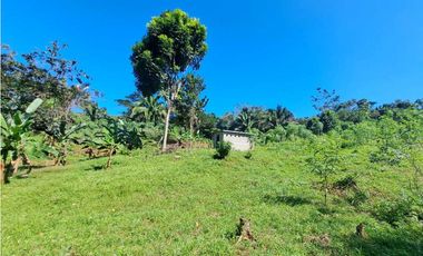 VENDO FINCA EN LA GUAJIRA