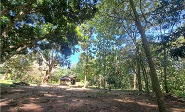 VENDO FINCA EN LA GUAJIRA