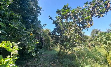 VENDO FINCA EN LA GUAJIRA