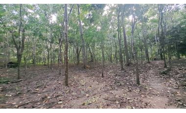 VENDO FINCA EN LA GUAJIRA