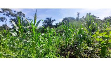 VENDO FINCA EN LA GUAJIRA