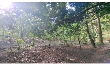 VENDO FINCA EN LA GUAJIRA