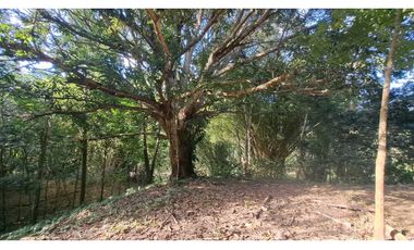 VENDO FINCA EN LA GUAJIRA