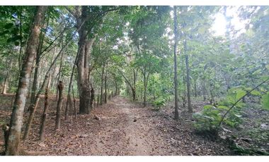 VENDO FINCA EN LA GUAJIRA