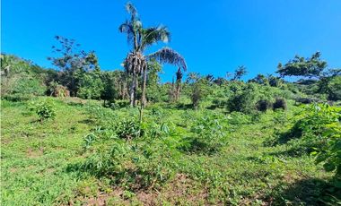 VENDO FINCA EN LA GUAJIRA
