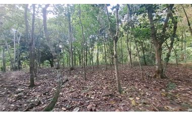 VENDO FINCA EN LA GUAJIRA