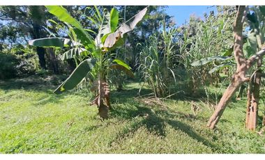 VENDO FINCA EN LA GUAJIRA