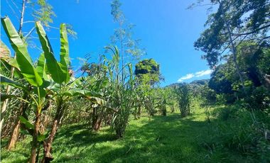 VENDO FINCA EN LA GUAJIRA