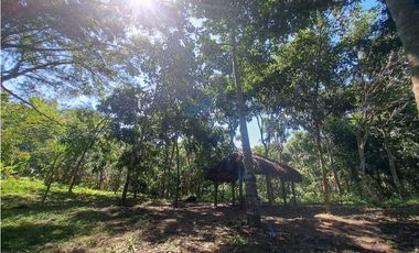 VENDO FINCA EN LA GUAJIRA