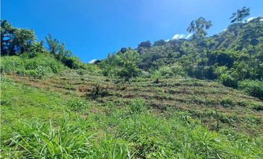 VENDO FINCA EN LA GUAJIRA