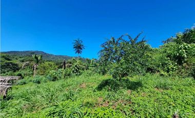 VENDO FINCA EN LA GUAJIRA