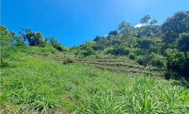 VENDO FINCA EN LA GUAJIRA