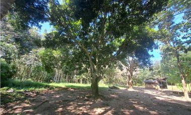 VENDO FINCA EN LA GUAJIRA