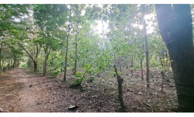 VENDO FINCA EN LA GUAJIRA