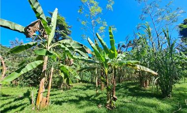 VENDO FINCA EN LA GUAJIRA