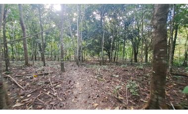 VENDO FINCA EN LA GUAJIRA