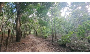VENDO FINCA EN LA GUAJIRA