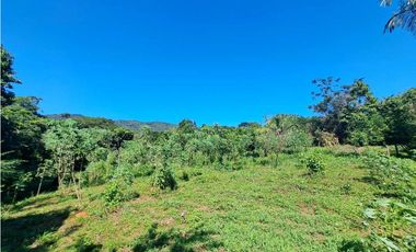 VENDO FINCA EN LA GUAJIRA