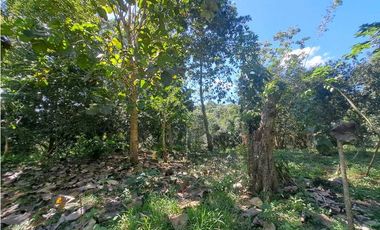 VENDO FINCA EN LA GUAJIRA