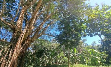 VENDO FINCA EN LA GUAJIRA