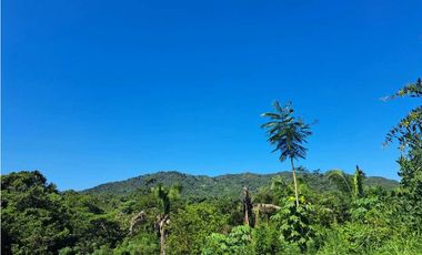 VENDO FINCA EN LA GUAJIRA