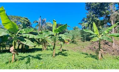 VENDO FINCA EN LA GUAJIRA
