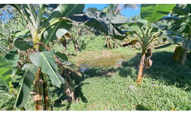 VENDO FINCA EN LA GUAJIRA