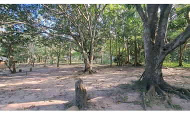 VENDO FINCA EN LA GUAJIRA
