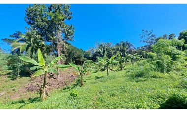 VENDO FINCA EN LA GUAJIRA