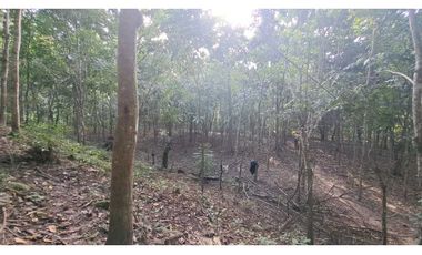 VENDO FINCA EN LA GUAJIRA