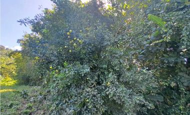 VENDO FINCA EN LA GUAJIRA