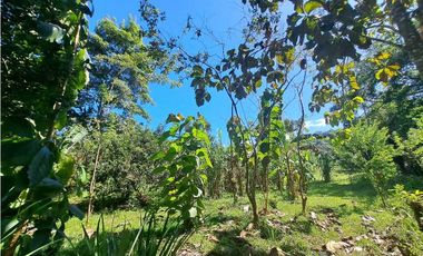 VENDO FINCA EN LA GUAJIRA