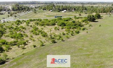 Venta- Terreno - Piñero -