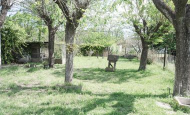 Casa - Carrizales