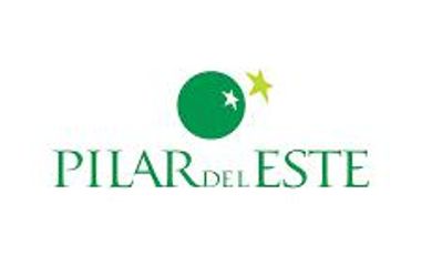 Lote en venta San Eduardo , Pilar del Este