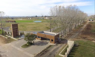 Terreno - La Alameda