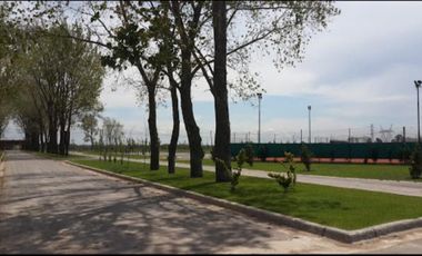 Terreno - La Alameda