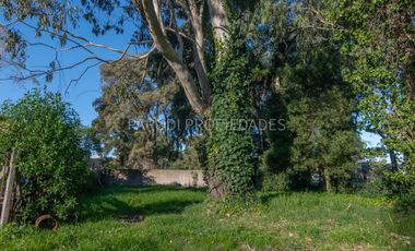 Venta Lote 279 m2 – B.Las Margaritas