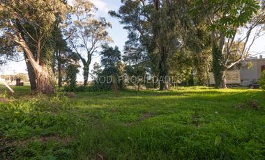 Venta Lote 279 m2 – B.Las Margaritas
