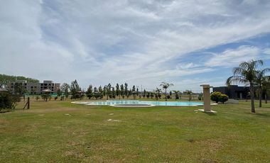 Casa - La Alameda