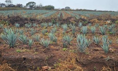 FRACCIONAMIENTO GRANJAS MARAVILLAS , IDEAL PARA DISFRUTAR DE LA NATURALEZA