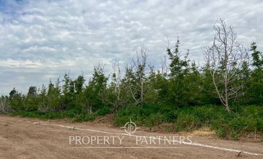 Terreno en Chicureo Poniente, cercano a Autopista Libertadores y Ruta 5