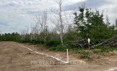 Terreno en Chicureo Poniente, cercano a Autopista Libertadores y Ruta 5