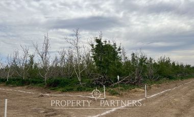 Terreno en Chicureo Poniente, cercano a Autopista Libertadores y Ruta 5