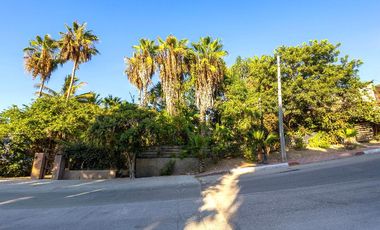 Todos Santos Paradise Place & Gardens