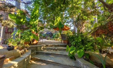 Todos Santos Paradise Place & Gardens