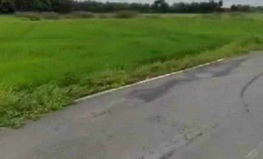 Land for sale in Ban Mae, Chiang Mai